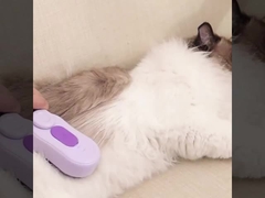 Motor Super Quiet Suction Cat Brush Battery Thick Coat Fine Hair High Speed