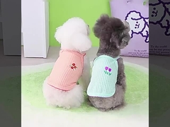 Breathable Waterproof Soft Eco-Certified Pressure-Relief Cat Clothes Holographic