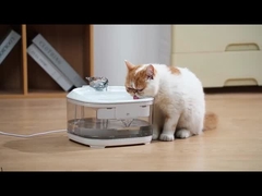 Dispensador automático de água para animais de estimação