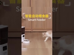 Controle de aplicativos de alimentadores automáticos inteligentes Material ecológico 2.4G Wi-Fi App