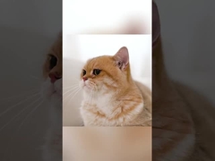 Função de baixo ruído Alimentação automática Conexão Wi-Fi 5G Não é necessário filtro