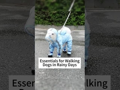 A prova de tempestade Capuzado Secador Rápido Cão Trapo de chuva 3D Alfaiataria Alta Elasticidade