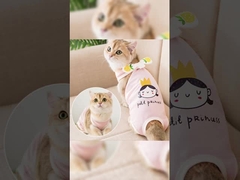 Verão Vestido cinturão ajustável casaco à prova d'água roupa de cão suave leve