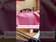 Tecnologia de secagem rápida Roupas respiráveis para gatos Antialérgicas Tecido respirável