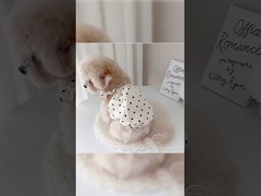 Roupas de cão leves, respiráveis, impermeáveis, laváveis em máquina