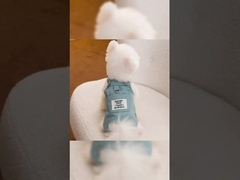 Tecido antibacteriano ecológico Roupas para cães suaves anti-alergicas à prova d'água