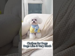 T-Shirt de animais de estimação respirável com certificação ecológica