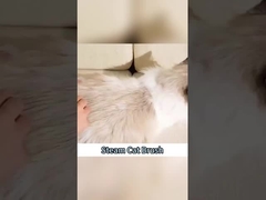 Cabelo fino Alta velocidade de precisão Carregamento rápido Borracha de gato Motor Descascamento Uso doméstico