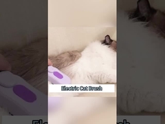 Desmontável sem fio para uso doméstico escova de gato carregamento rápido bateria cabelo fino à prova d'água