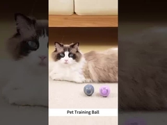 Ferramenta de Treinamento Amigável ao Ambiente Treinamento Multiesportivo Impermeável