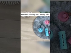 Treinamento de agilidade do cão objetivo proteção ambiental material treinamento de obediência durável