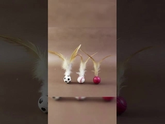 Waterproof Rechargeable Agility Training GPS Tracking Dog Park Hypoallergenic