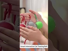 Voice Control GPS Tracking Agility Training Long Battery Life Bluetooth Dog Park