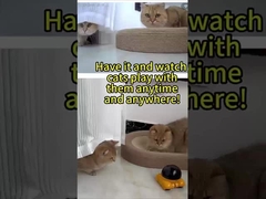 HD Resolution Battery IP67 360° Rotation HD Pet Camera Detachable Weatherproof