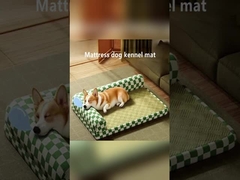 Rastreamento do sono Recarregável Aquecido Cancelação de ruído Cama de gato Superfície auto-limpeza