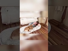 Voice Prompt aquecido TPU Liner tecido hipoalergênico cama de gato design portátil