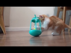 Aplicação Controle Emocional Pet-Friendly Design STEM Robô Animais de estimação Dançando Portátil