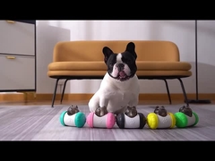 Robô Social de Alta Tecnologia Robô Animais de estimação Controle de Gestos STEM Companheiro Emocional