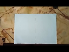 Design dobrável Base de aço inoxidável Tigela de cerâmica Máquina de beber para animais de estimação