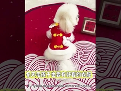 Winter Jacket UV Protection Cat & Dog  Clothes Multi-Scene Wear Breathable Fabric