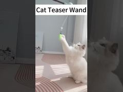 Treinamento de Agilidade com Feedback Personalizável