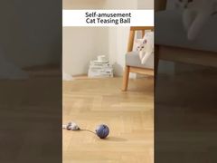 Hypoallergenic Force-Free Training Agility Training Pet Anxiety Relief