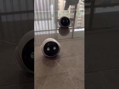 Virtual Pet Trainer AI Robot Durable Behavioral Analysis AI-Powered App Control