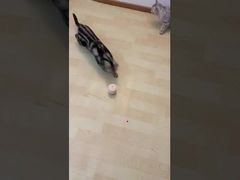 Treinamento de Agilidade