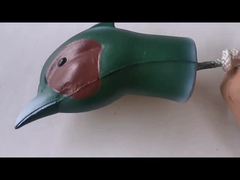 Academia de Treinamento Canino