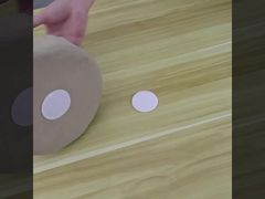 Competição de Esportes Caninos com Vibração