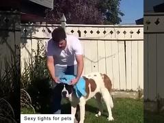 View Anti-Allergy Static-Proof Dog Clothes Antibacterial Fabric UV Protection Demo