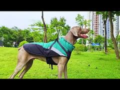 See Why Choose Pet Outdoor Wear Adjustable Sizing Windproof Breathable & Lightweight