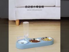 See Why Choose Pet Drinking Machine Stainless Steel Base Portable Design Carbon Filter