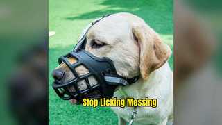 Soft Dog Muzzle Stops Licking & Messing